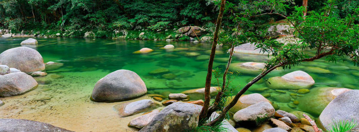 Clear green water with rocks and trees in a forest setting, Mossman gorge Queensland 
