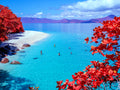 Sea Pool