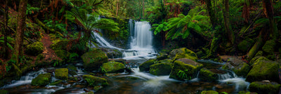 Tranquility