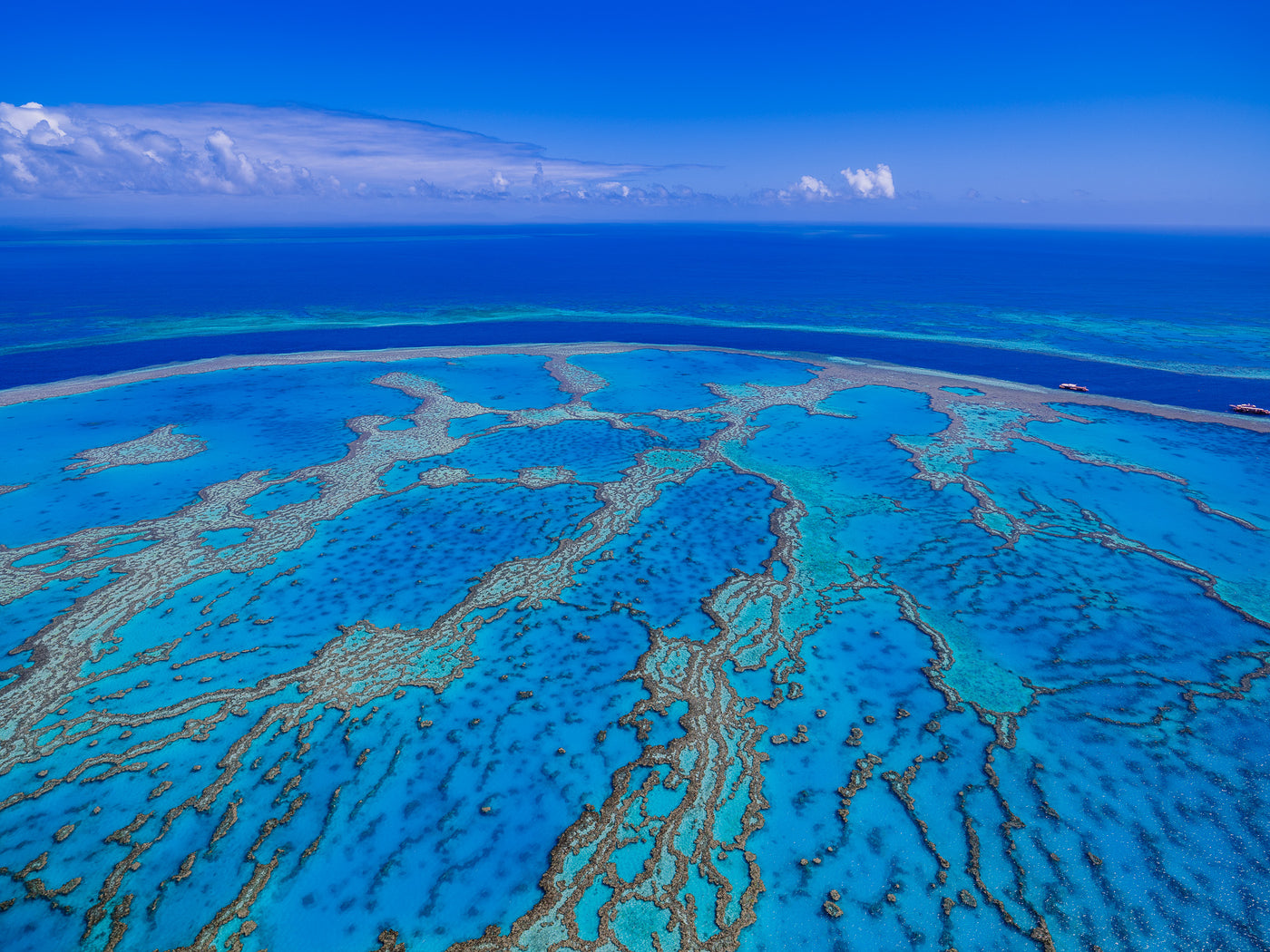 Reef