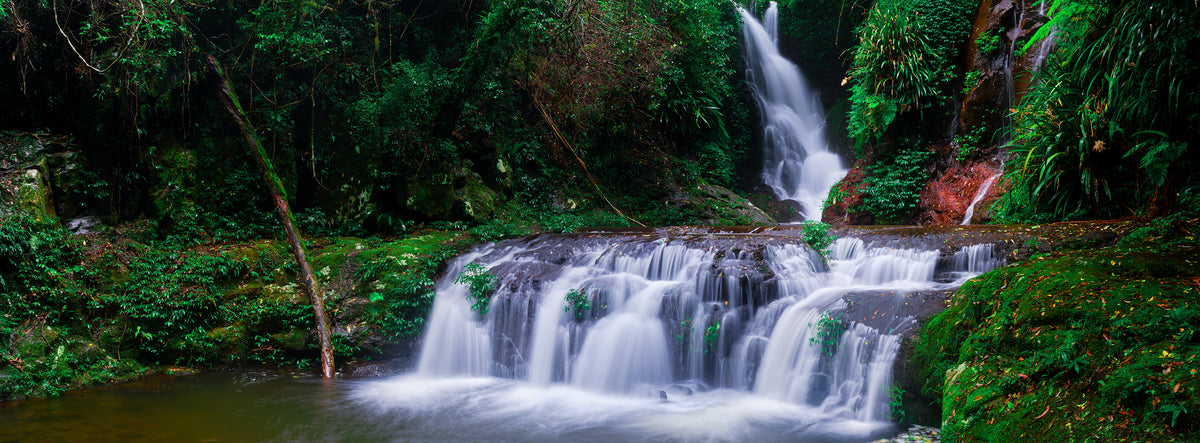 Lamington National Park, QLD