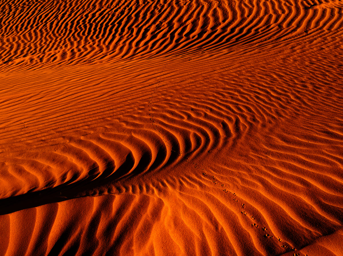 Ripple