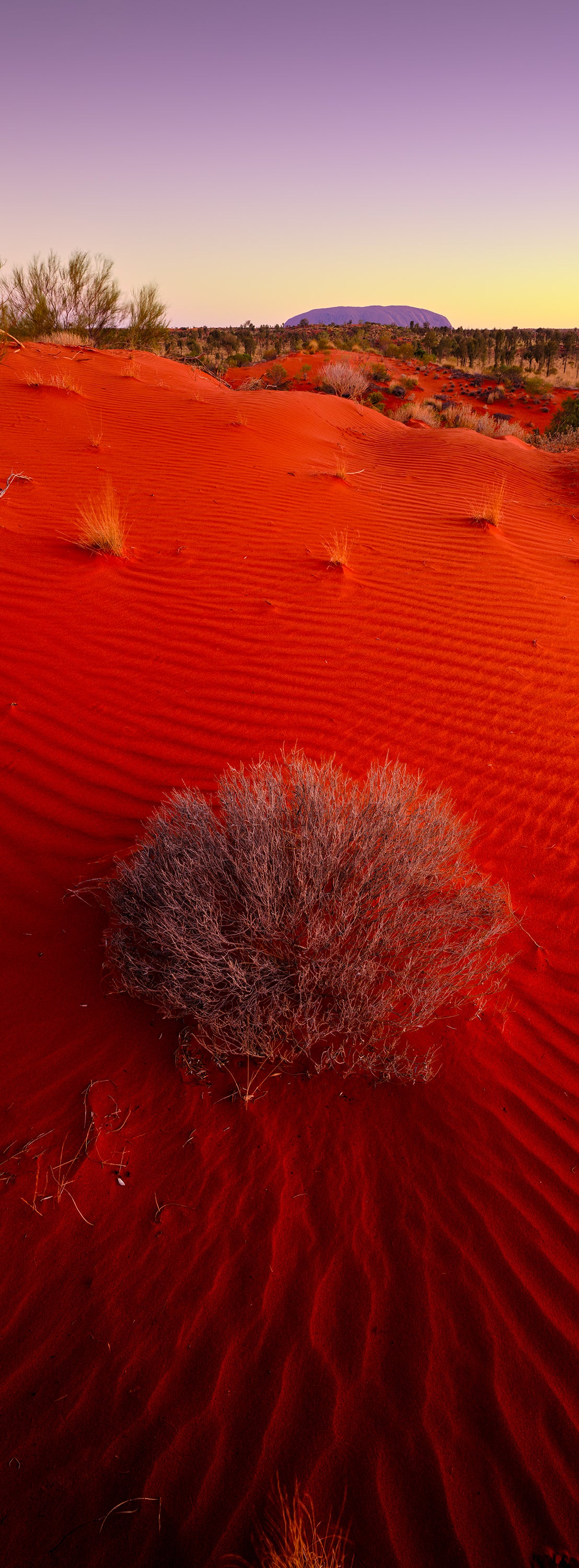 The Desert