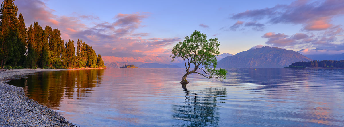 New Zealand , landscape photography , fine art , wall art 