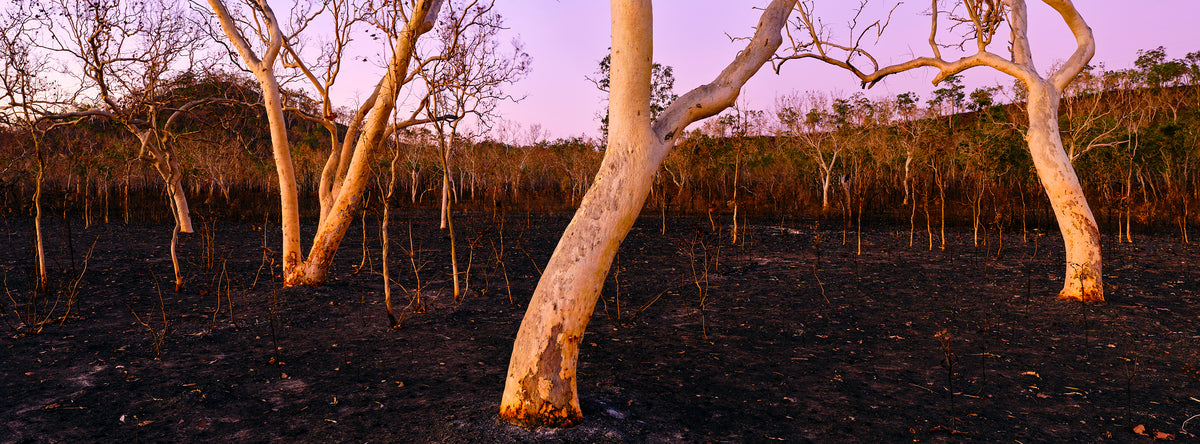 After Burn