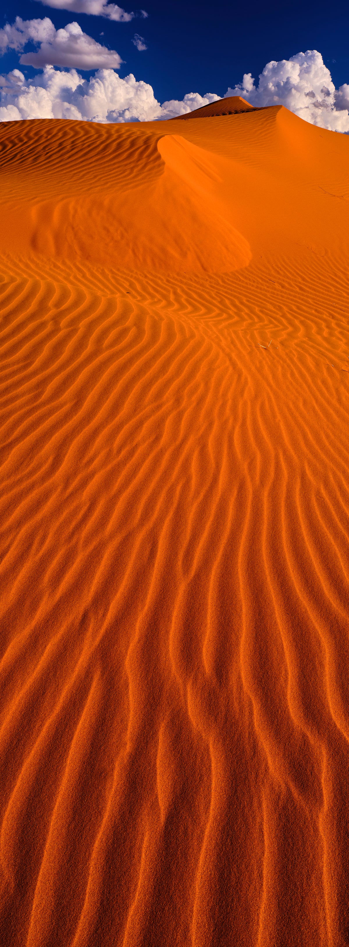 Dune