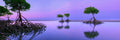 Silent Shores
