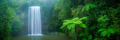 Millaa Millaa Falls
