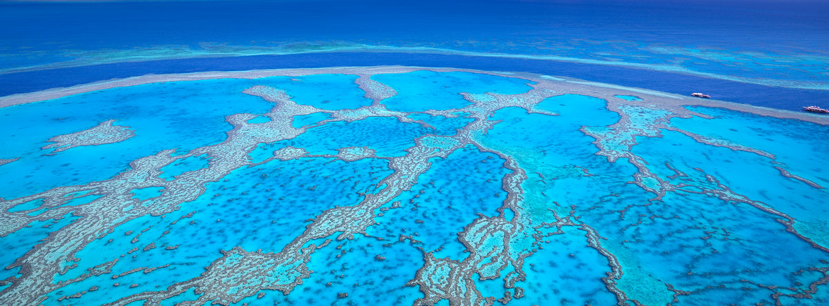 Reef Patterns