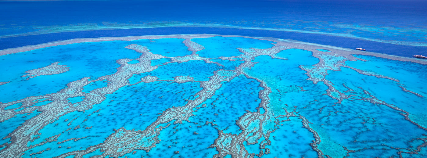 Reef Patterns